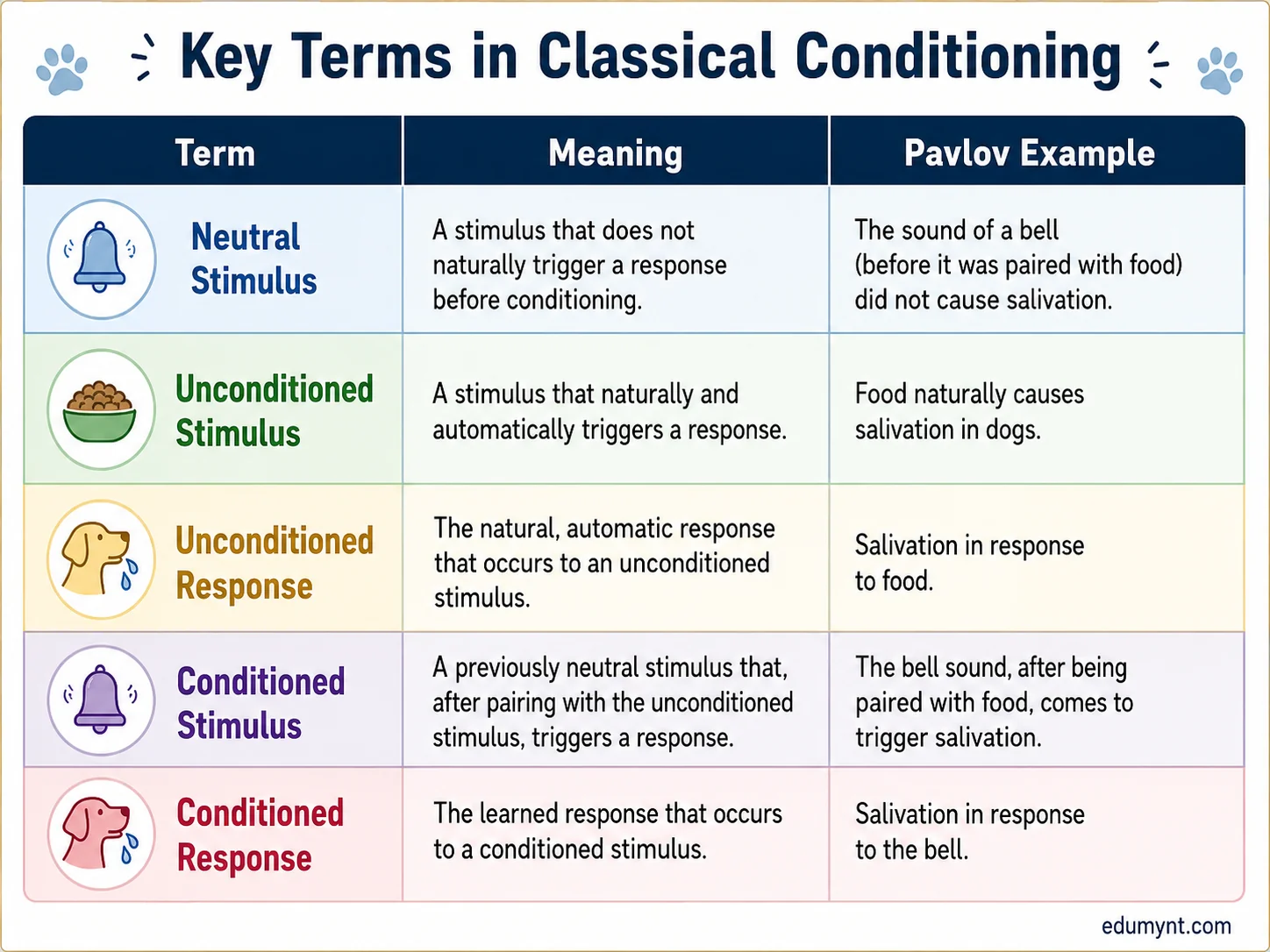 Exposure therapy and extinction learning visual showing fear cue, safe exposure, new learning, and reduced fear