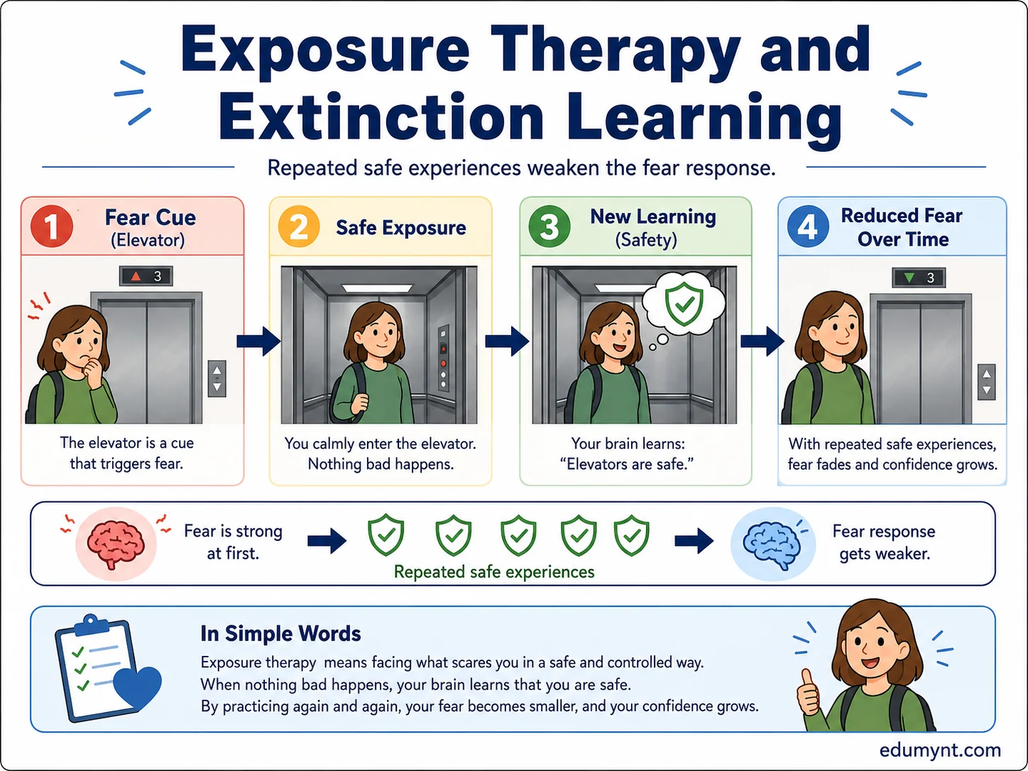 Ethical research reflection visual showing Little Albert experiment as historical case study with warning symbols for ethics