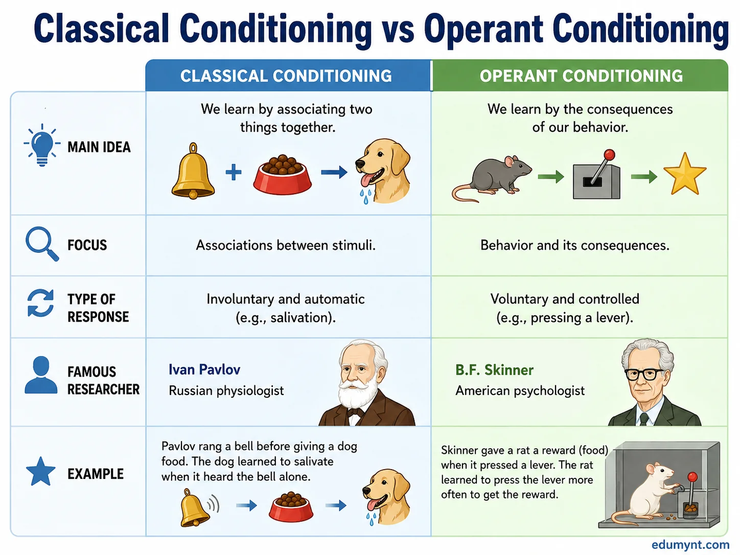 Mini practice worksheet for identifying classical conditioning components