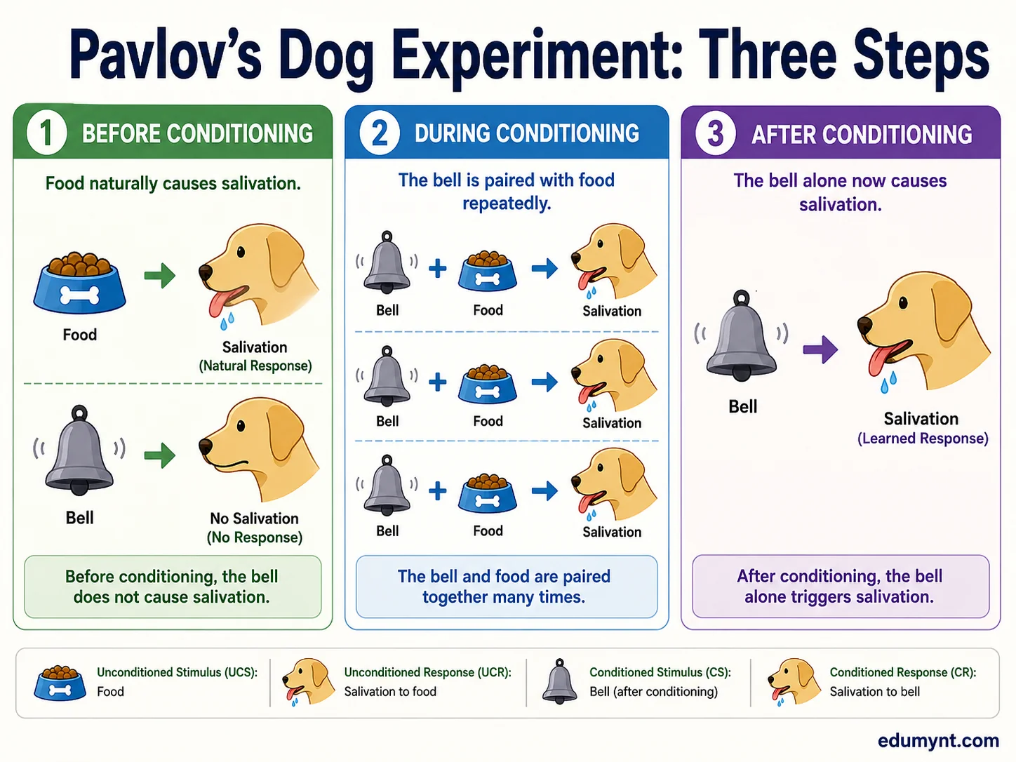 Everyday classical conditioning example showing a student listening to the same study song during revision and before an exam