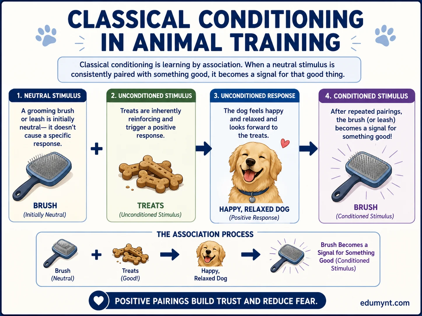 Side-by-side diagram comparing classical conditioning and operant conditioning with examples